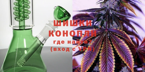 индика Балахна