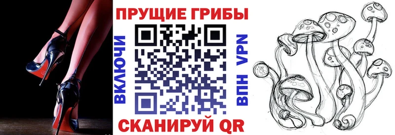 Галлюциногенные грибы мицелий hydra tor Балахна