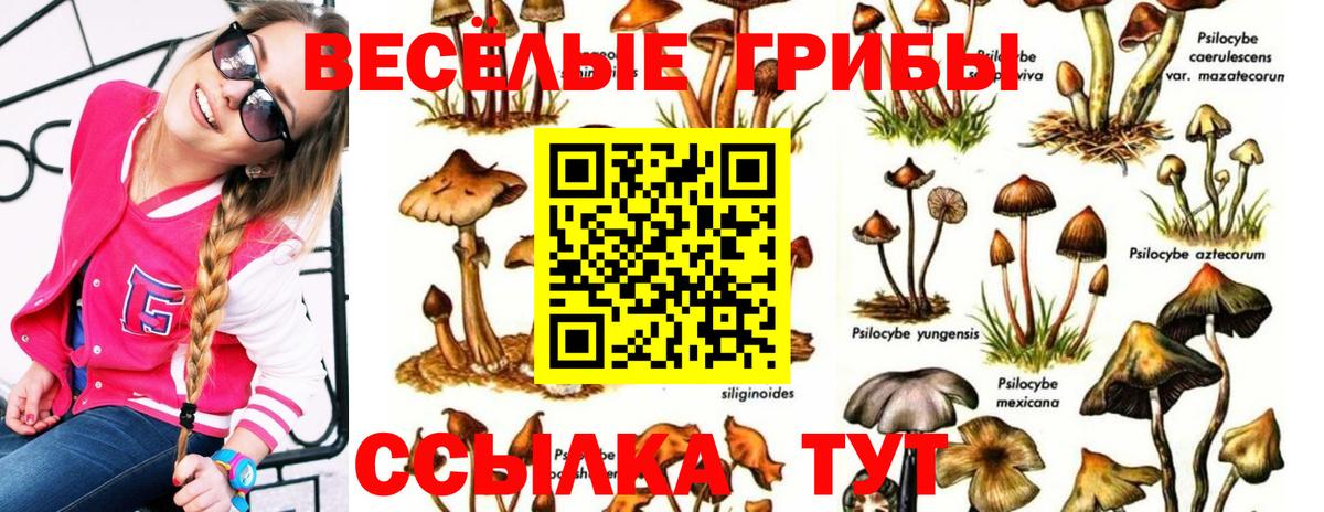 Галлюциногенные грибы Psilocybine cubensis  Галлюциногенные грибы Psilocybe  купить  цена  Балахна  Вход с VPN 