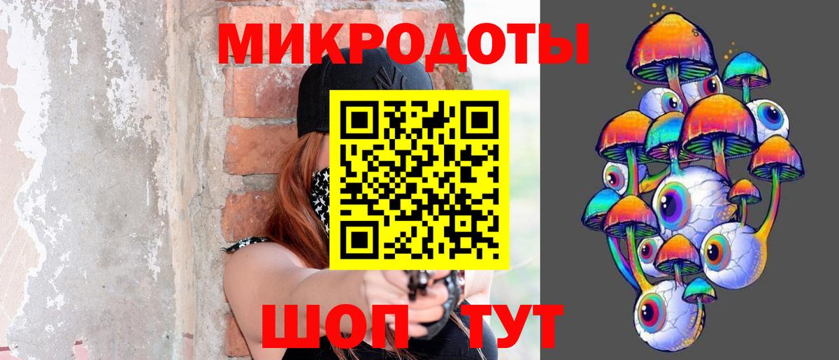 Псилоцибиновые грибы Psilocybine cubensis Балахна