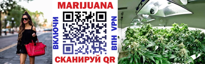Бошки Шишки план  МЕГА ТОР  Балахна 
